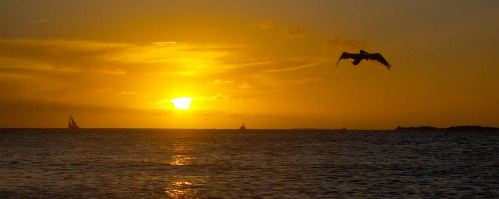 Los Roques