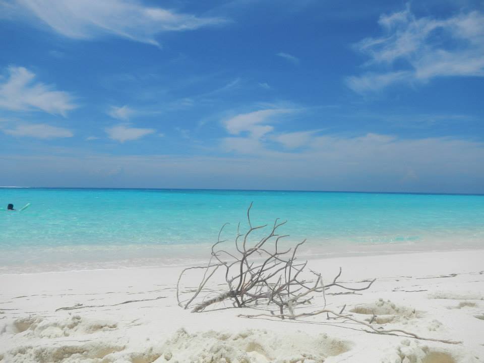 LA TORTUGA