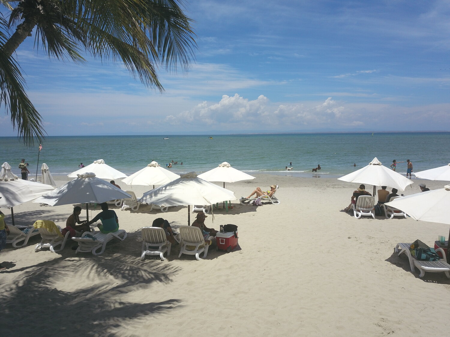 Paradise Surf Playa El Yaque